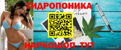 сатива Мариинск