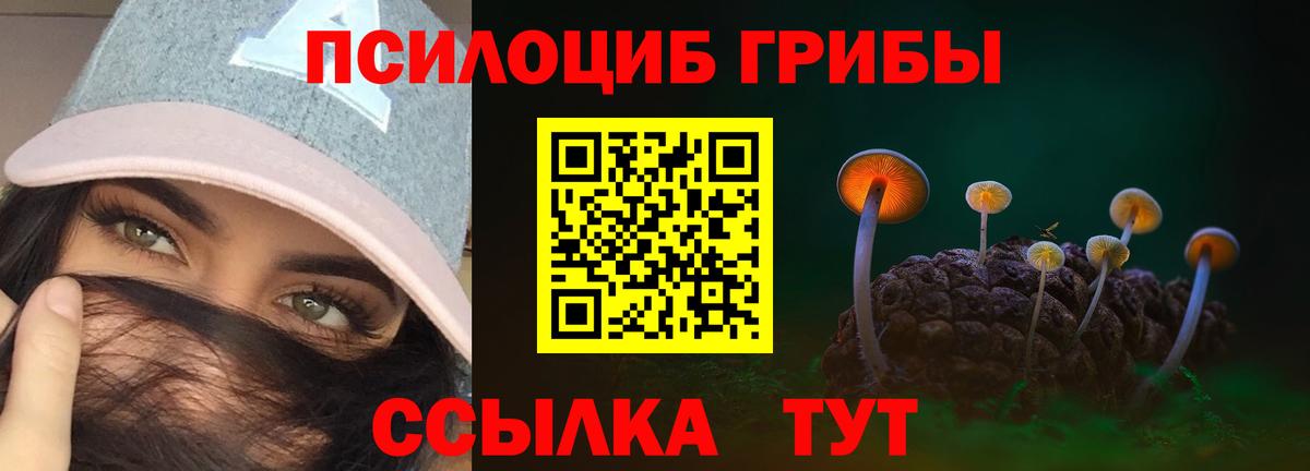 Галлюциногенные грибы мицелий Торжок